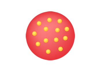 encapsulation Icon