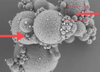 close up of a Powder particle