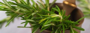 Rosemary with mortar and pestle